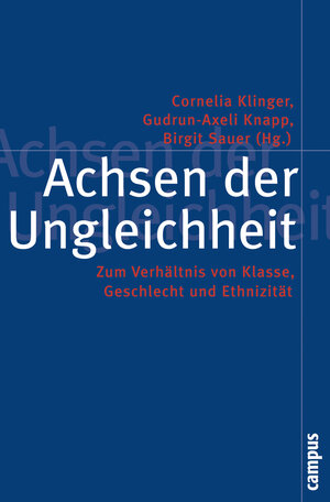 Buchcover Achsen der Ungleichheit  | EAN 9783593384764 | ISBN 3-593-38476-0 | ISBN 978-3-593-38476-4