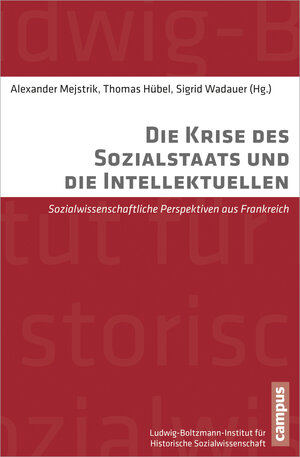 Buchcover Die Krise des Sozialstaats und die Intellektuellen  | EAN 9783593396422 | ISBN 3-593-39642-4 | ISBN 978-3-593-39642-2