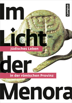 Buchcover Im Licht der Menora  | EAN 9783593502854 | ISBN 3-593-50285-2 | ISBN 978-3-593-50285-4