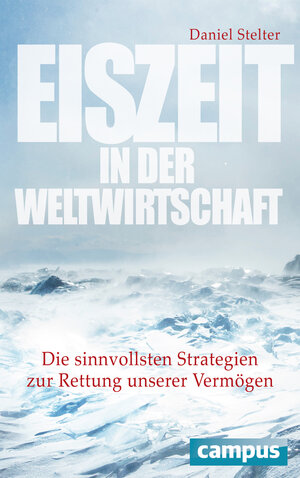 Buchcover Eiszeit in der Weltwirtschaft | Daniel Stelter | EAN 9783593505145 | ISBN 3-593-50514-2 | ISBN 978-3-593-50514-5