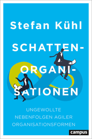 Buchcover Schattenorganisationen | Stefan Kühl | EAN 9783593516707 | ISBN 3-593-51670-5 | ISBN 978-3-593-51670-7