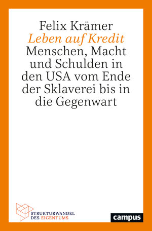 Buchcover Leben auf Kredit | Felix Krämer | EAN 9783593517681 | ISBN 3-593-51768-X | ISBN 978-3-593-51768-1