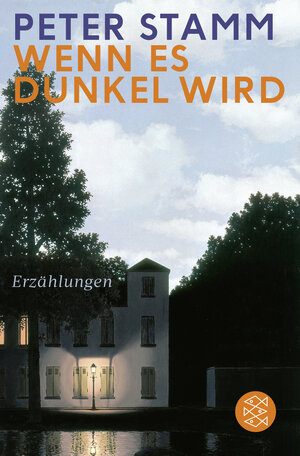 Buchcover Wenn es dunkel wird | Peter Stamm | EAN 9783596031252 | ISBN 3-596-03125-7 | ISBN 978-3-596-03125-2