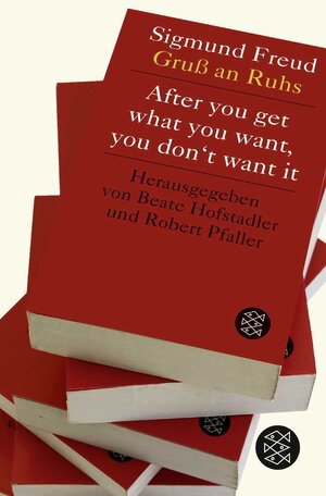 Buchcover After you get what you want, you don't want it  | EAN 9783596035915 | ISBN 3-596-03591-0 | ISBN 978-3-596-03591-5