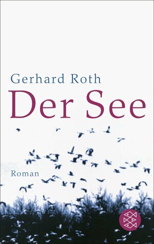 Der See: Roman