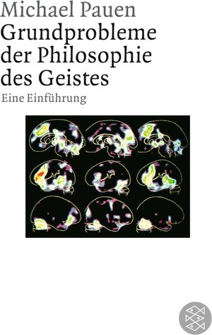 Grundprobleme der Philosophie des Geistes: Eine Einführung