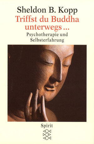 Triffst du Buddha unterwegs...: Psychotherapie und Selbsterfahrung