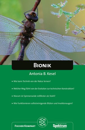 Fischer Kompakt: Bionik