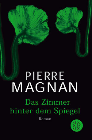 Das Zimmer hinter dem Spiegel: Roman