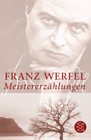 Buchcover Meistererzählungen | Franz Werfel | EAN 9783596166459 | ISBN 3-596-16645-4 | ISBN 978-3-596-16645-9