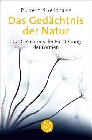 Buchcover Das Gedächtnis der Natur | Rupert Sheldrake | EAN 9783596184873 | ISBN 3-596-18487-8 | ISBN 978-3-596-18487-3
