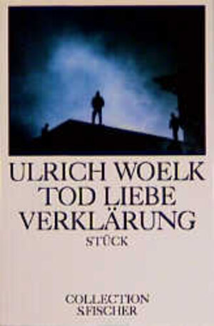 Buchcover Tod Liebe Verklärung | Ulrich Woelk | EAN 9783596223725 | ISBN 3-596-22372-5 | ISBN 978-3-596-22372-5