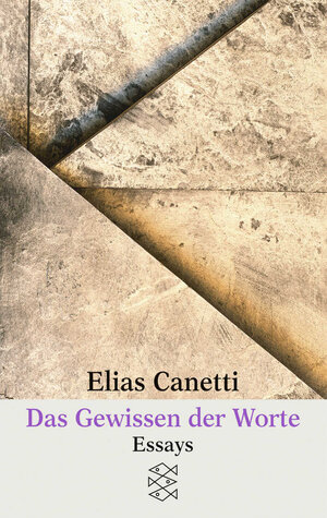 Das Gewissen der Worte: Essays