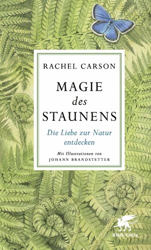 Buchcover Magie des Staunens | Rachel Carson | EAN 9783608964103 | ISBN 3-608-96410-X | ISBN 978-3-608-96410-3