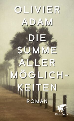 Buchcover Die Summe aller Möglichkeiten | Olivier Adam | EAN 9783608980332 | ISBN 3-608-98033-4 | ISBN 978-3-608-98033-2