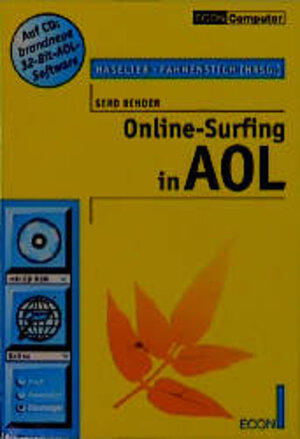 Online- Surfing in AOL.