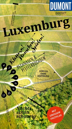 Buchcover DuMont direkt Reiseführer E-Book Luxemburg | Reinhard Tiburzy | EAN 9783616413310 | ISBN 3-616-41331-1 | ISBN 978-3-616-41331-0