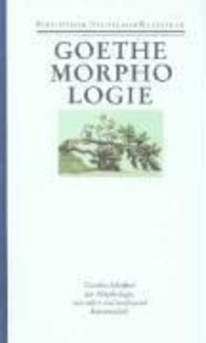 Sämtliche Werke. Briefe, Tagebücher und Gespräche: 1. Abteilung - Band 24: Goethes Schriften zur Morphologie