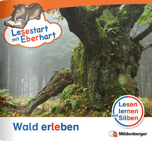 Buchcover Lesestart mit Eberhart - Wald erleben | Stefanie Drecktrah | EAN 9783619044306 | ISBN 3-619-04430-9 | ISBN 978-3-619-04430-6