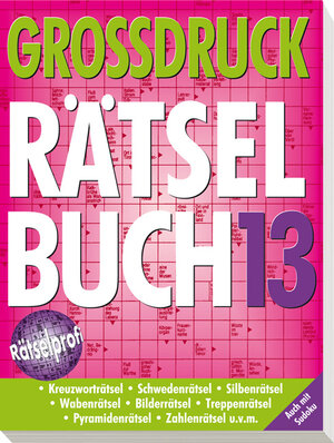 Buchcover Großdruck-Rätselbuch 13  | EAN 9783625131359 | ISBN 3-625-13135-8 | ISBN 978-3-625-13135-9