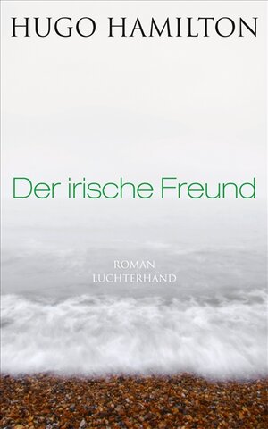 Buchcover Der irische Freund | Hugo Hamilton | EAN 9783630873008 | ISBN 3-630-87300-6 | ISBN 978-3-630-87300-8