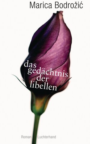 Buchcover Das Gedächtnis der Libellen | Marica Bodrožić | EAN 9783630873343 | ISBN 3-630-87334-0 | ISBN 978-3-630-87334-3