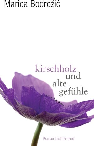 Buchcover Kirschholz und alte Gefühle | Marica Bodrožić | EAN 9783630873954 | ISBN 3-630-87395-2 | ISBN 978-3-630-87395-4