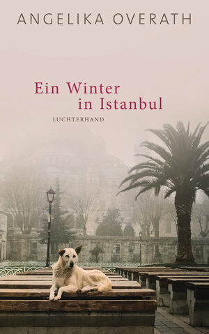 Buchcover Ein Winter in Istanbul | Angelika Overath | EAN 9783630875347 | ISBN 3-630-87534-3 | ISBN 978-3-630-87534-7