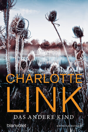 Buchcover Das andere Kind | Charlotte Link | EAN 9783641027872 | ISBN 3-641-02787-X | ISBN 978-3-641-02787-2