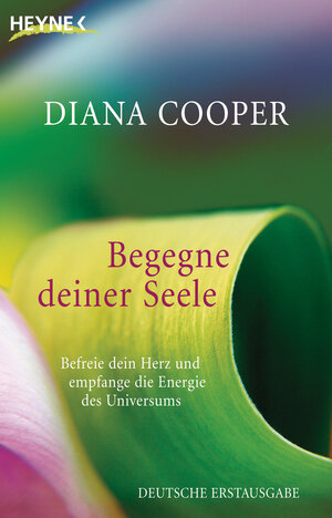 Buchcover Begegne deiner Seele | Diana Cooper | EAN 9783641028749 | ISBN 3-641-02874-4 | ISBN 978-3-641-02874-9