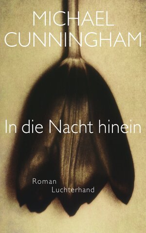 Buchcover In die Nacht hinein | Michael Cunningham | EAN 9783641052171 | ISBN 3-641-05217-3 | ISBN 978-3-641-05217-1