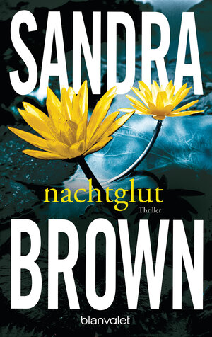Buchcover Nachtglut | Sandra Brown | EAN 9783641107468 | ISBN 3-641-10746-6 | ISBN 978-3-641-10746-8