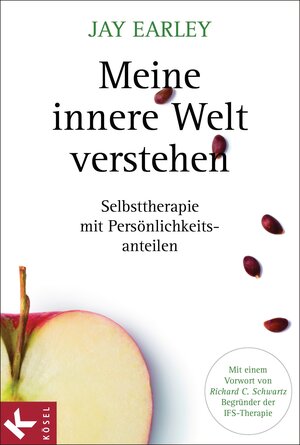 Buchcover Meine innere Welt verstehen | Jay Earley | EAN 9783641128999 | ISBN 3-641-12899-4 | ISBN 978-3-641-12899-9