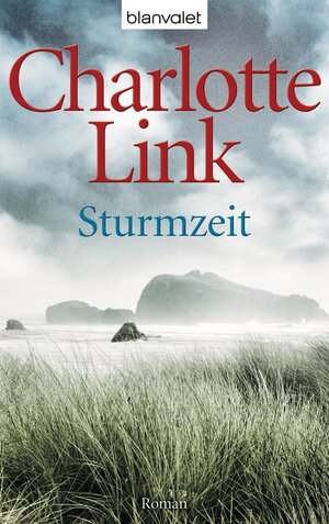 Buchcover Sturmzeit | Charlotte Link | EAN 9783641138127 | ISBN 3-641-13812-4 | ISBN 978-3-641-13812-7