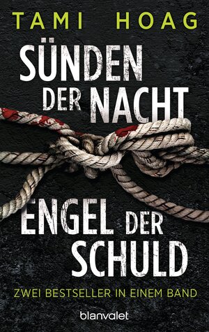 Buchcover Sünden der Nacht / Engel der Schuld | Tami Hoag | EAN 9783641177034 | ISBN 3-641-17703-0 | ISBN 978-3-641-17703-4