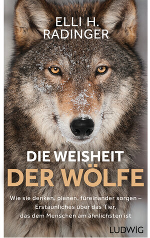 Buchcover Die Weisheit der Wölfe | Elli H. Radinger | EAN 9783641206741 | ISBN 3-641-20674-X | ISBN 978-3-641-20674-1