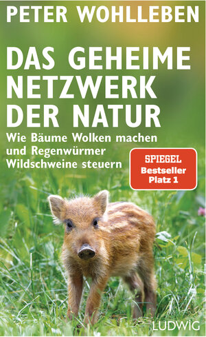 Buchcover Das geheime Netzwerk der Natur | Peter Wohlleben | EAN 9783641207076 | ISBN 3-641-20707-X | ISBN 978-3-641-20707-6