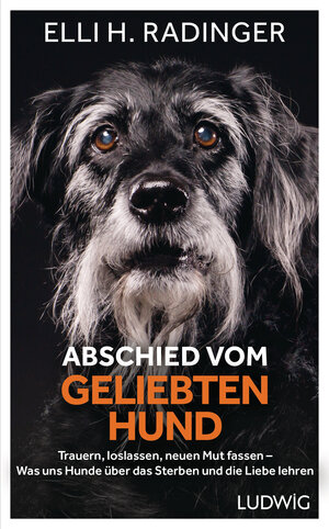 Buchcover Abschied vom geliebten Hund | Elli H. Radinger | EAN 9783641285241 | ISBN 3-641-28524-0 | ISBN 978-3-641-28524-1