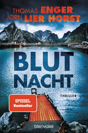 Buchcover Blutnacht | Thomas Enger | EAN 9783641295684 | ISBN 3-641-29568-8 | ISBN 978-3-641-29568-4