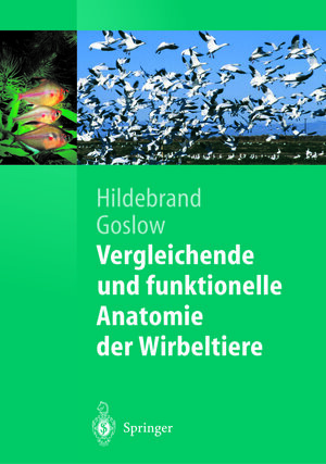 Buchcover Vergleichende und funktionelle Anatomie der Wirbeltiere | Milton Hildebrand | EAN 9783642189517 | ISBN 3-642-18951-2 | ISBN 978-3-642-18951-7