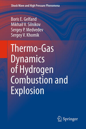 Buchcover Thermo-Gas Dynamics of Hydrogen Combustion and Explosion | Boris E. Gelfand | EAN 9783642253522 | ISBN 3-642-25352-0 | ISBN 978-3-642-25352-2