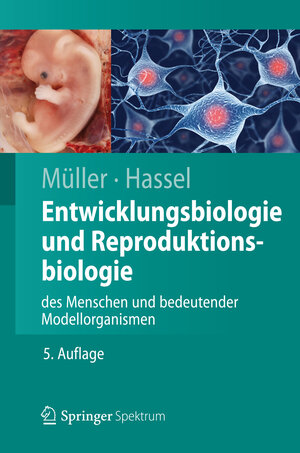 Buchcover Entwicklungsbiologie und Reproduktionsbiologie des Menschen und bedeutender Modellorganismen | Werner A. Müller | EAN 9783642283833 | ISBN 3-642-28383-7 | ISBN 978-3-642-28383-3