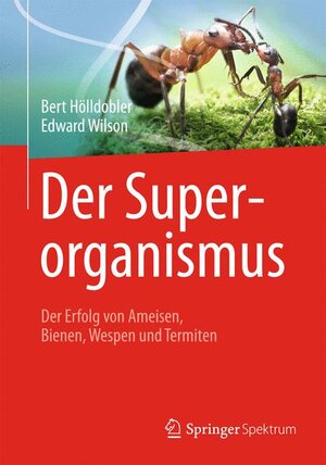 Buchcover Der Superorganismus | Bert Hölldobler | EAN 9783642312793 | ISBN 3-642-31279-9 | ISBN 978-3-642-31279-3