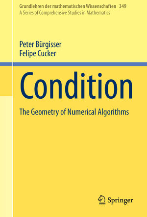 Buchcover Condition | Peter Bürgisser | EAN 9783642388965 | ISBN 3-642-38896-5 | ISBN 978-3-642-38896-5