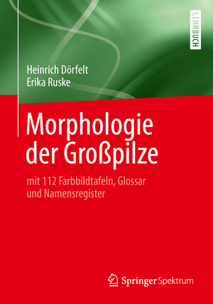 Buchcover Morphologie der Großpilze | Heinrich Dörfelt | EAN 9783642417818 | ISBN 3-642-41781-7 | ISBN 978-3-642-41781-8