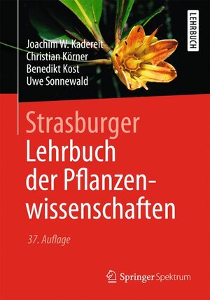 Buchcover Strasburger − Lehrbuch der Pflanzenwissenschaften | Joachim W. Kadereit | EAN 9783642544347 | ISBN 3-642-54434-7 | ISBN 978-3-642-54434-7