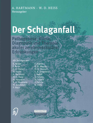 Buchcover Der Schlaganfall  | EAN 9783642576294 | ISBN 3-642-57629-X | ISBN 978-3-642-57629-4