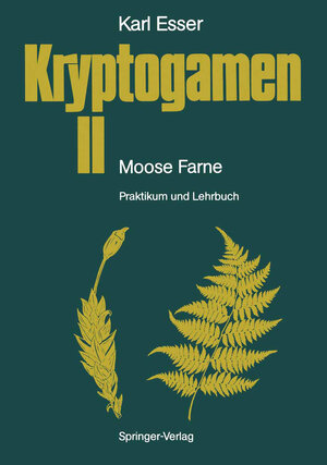 Buchcover Kryptogamen II Moose · Farne | Karl Esser | EAN 9783642764080 | ISBN 3-642-76408-8 | ISBN 978-3-642-76408-0