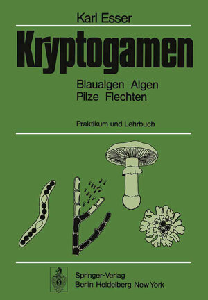 Buchcover Kryptogamen | Karl Esser | EAN 9783642963186 | ISBN 3-642-96318-8 | ISBN 978-3-642-96318-6