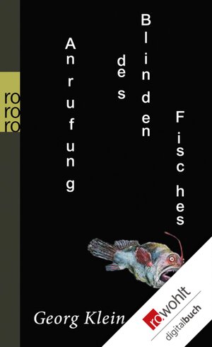 Buchcover Anrufung des Blinden Fisches | Georg Klein | EAN 9783644007413 | ISBN 3-644-00741-1 | ISBN 978-3-644-00741-3